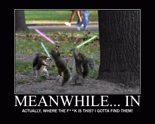 Squirrel wars - meme