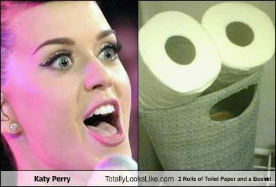 katy perry toilet paper - meme