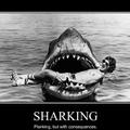 sharking, a new for of planking that i think all whom follow yolo and swag should do