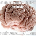 No music while learning helps