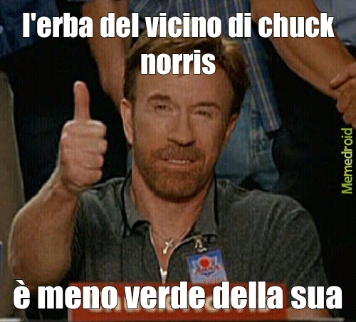 chuck norris.vicino - meme
