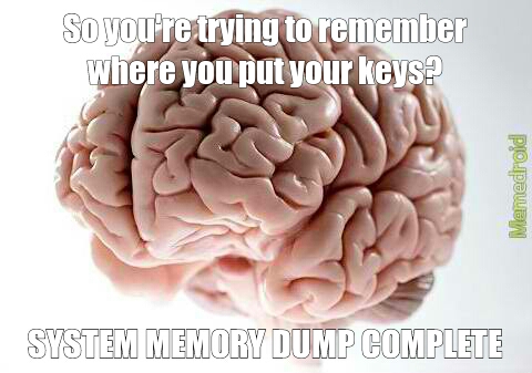 dammit brain - meme