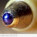 HD photo of the tip of a pen