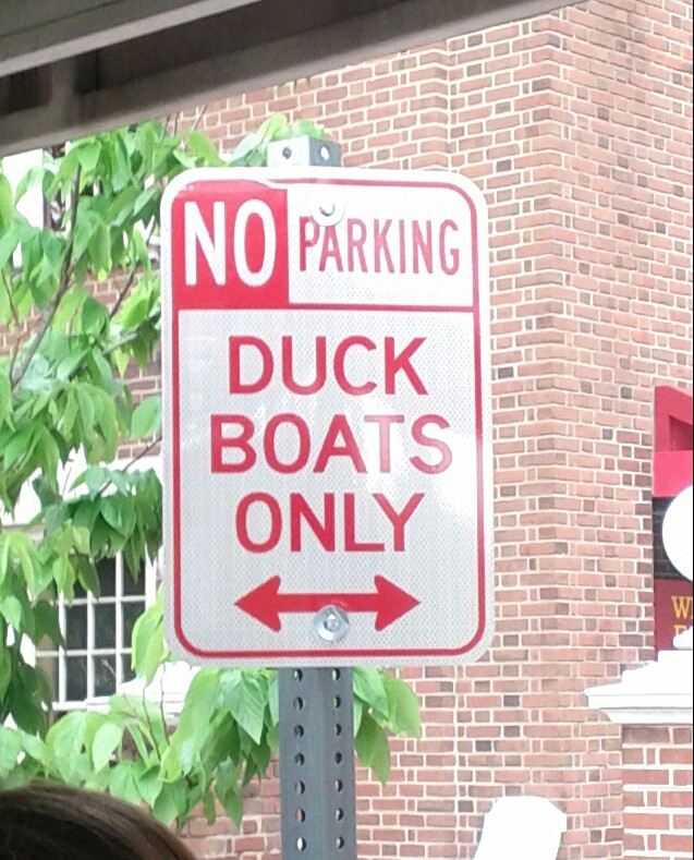 duck boats?? - meme