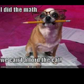 Arithmetic dog