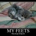 kittie feet
