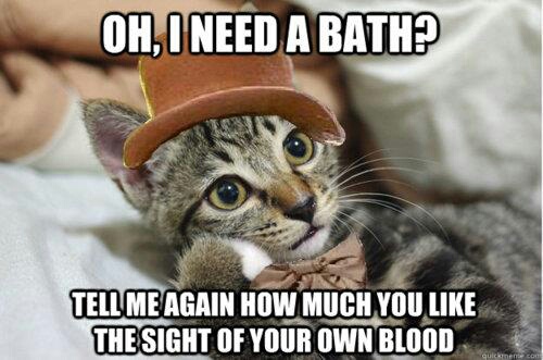 Please, tell me again if i need a bath. - meme