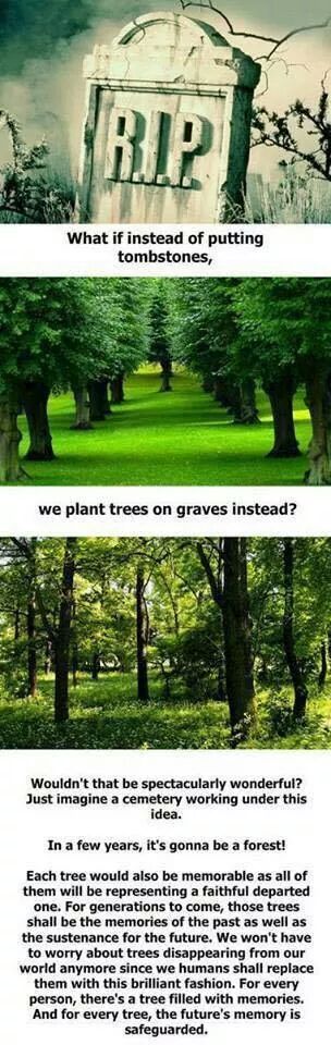 Each tree will have a memory - meme