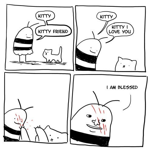 Blessed pussy cat - meme