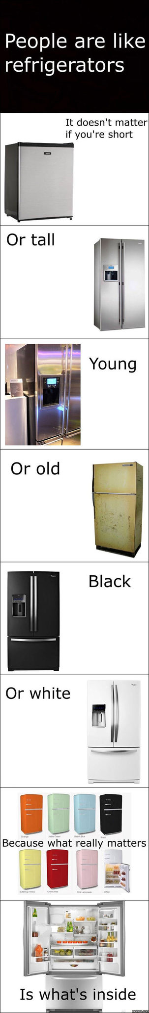 Wich fridge would you be? - meme