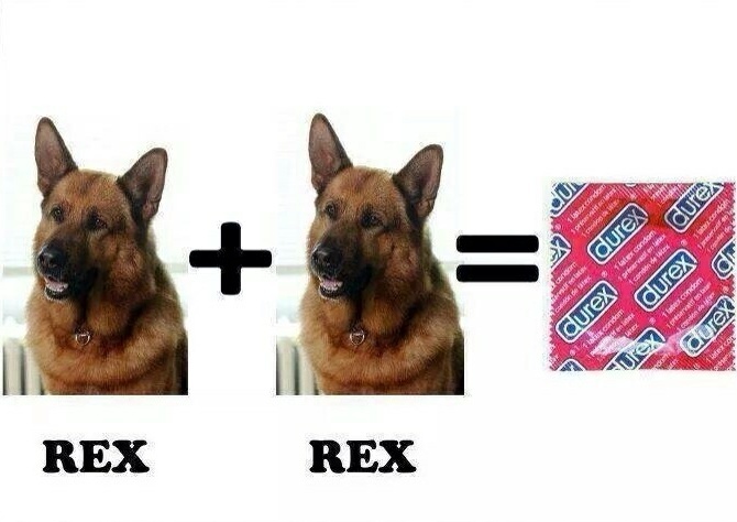Du rex :)) - meme