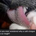 commented item thumbnail