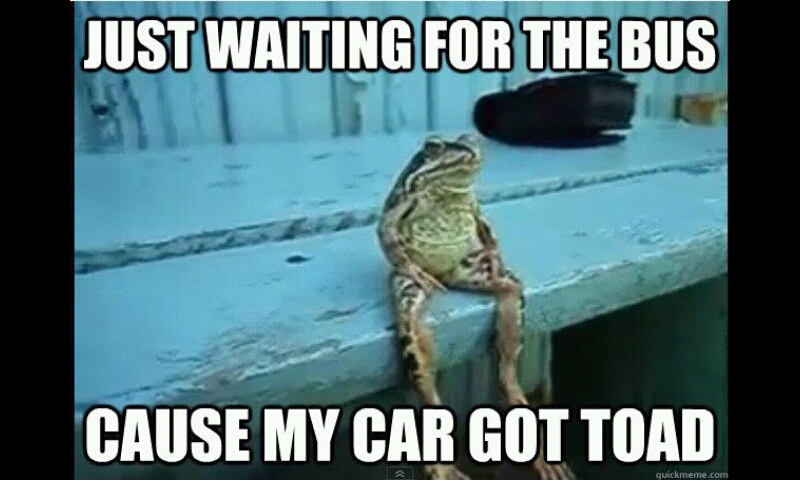 Car got toad. - meme
