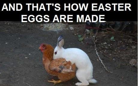 how easter eggs are made - meme