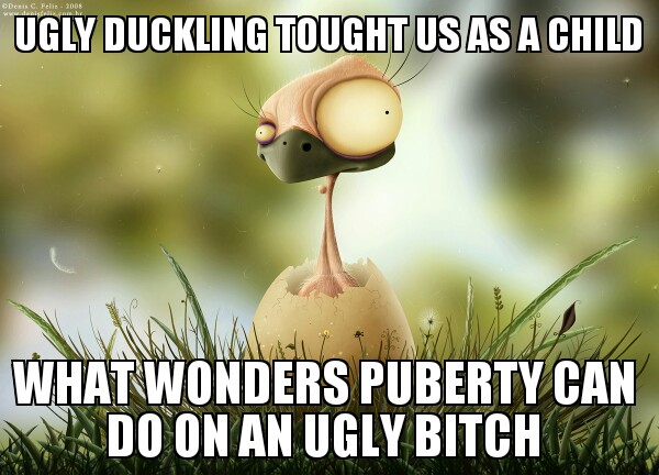 ugly duckling - meme