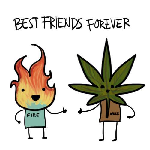 best friends forever - meme
