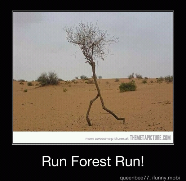 Run Forest! - meme