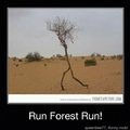 Run Forest!
