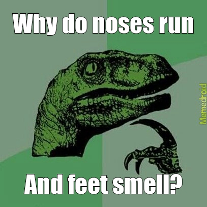 Why do noses - meme