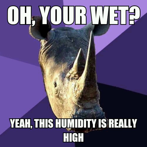 Sexually oblivious rhinocerous - meme