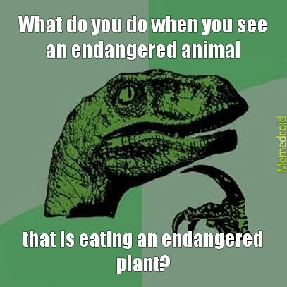 endangered - meme