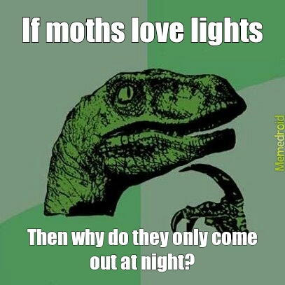 Moths - meme