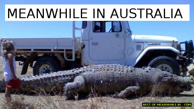 crocodile Dundee eat ya heart out! - meme