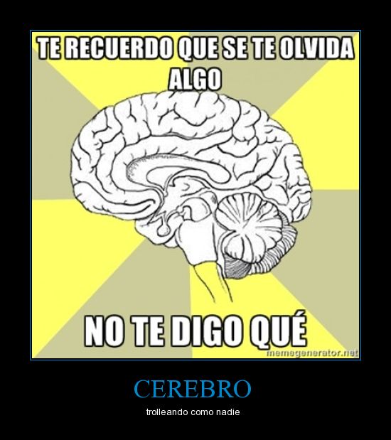 es mejor un Troll Floppa - Meme by EderXD :) Memedroid