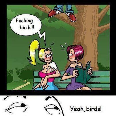 birds.. - meme