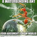 water bending ant