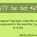 WFT fun fact