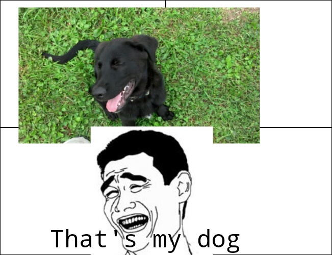 thats my dog - meme