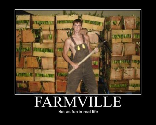 farmville - meme