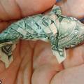 Money fish