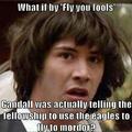 Fly fool.