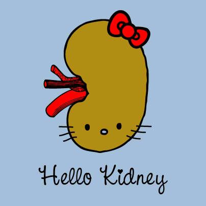 hello kidney - meme