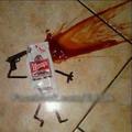 pauvre ketchup