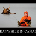 Meanwhile in Canada;
