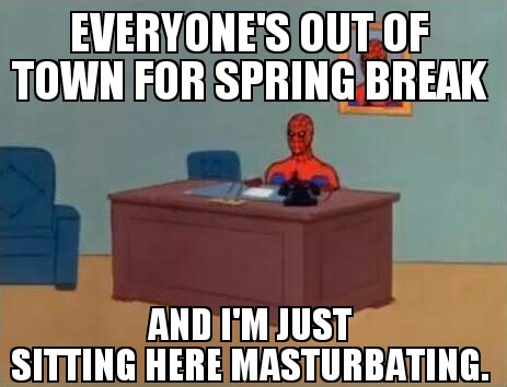 spring break - meme