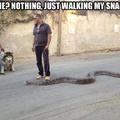Aww what's his name? Mr. Slithers