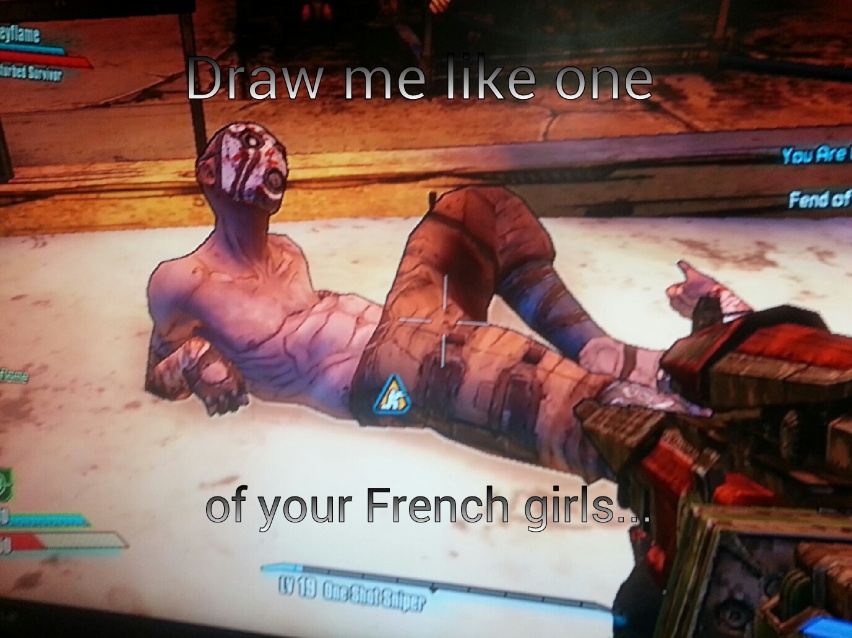 I was playing borderlands 2 and i just had to do this - meme
