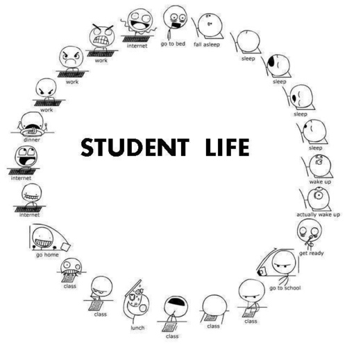 Student Life - meme