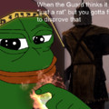 Guards in Skyrim be like
