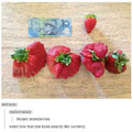 money fruit 