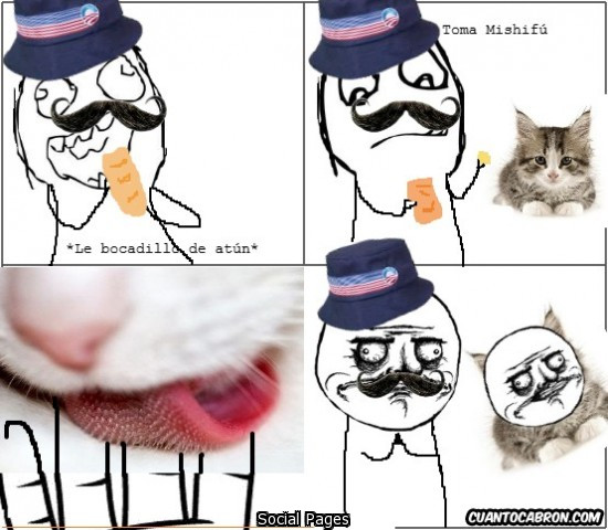 lenguas de gato dan esa rara sensación  - meme