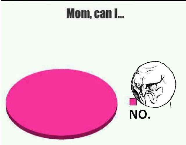 Mom, can I.... - meme