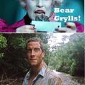 bear gyrlls