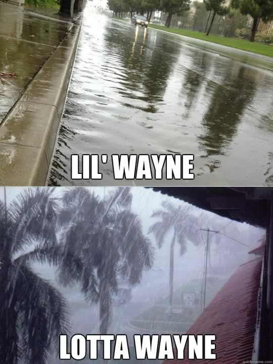 Wayne Wayne go away! - meme