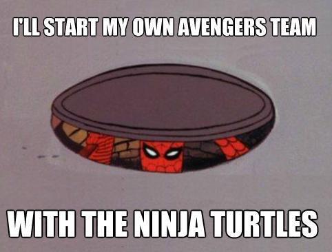 The avengers 2: turtle edition - meme