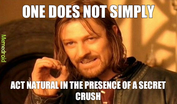 In the presence of a crush… - meme